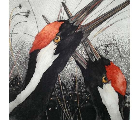 Beki Killorin "Flutter"